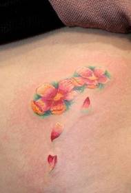 Gadis-gadis perut hanya indah mencari pola tato cherry blossom