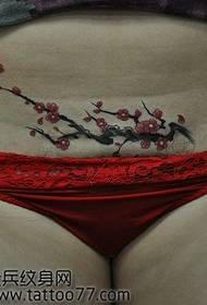 modello di tatuaggio di bellezza della pancia di colore della prugna 30349-bellezza della pancia solo bellissimo modello di tatuaggio di prugna fiore