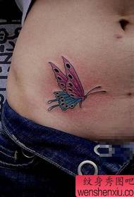 ventre de beauté pop classique couleur motif de tatouage papillon