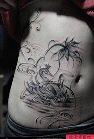 kagandahang tiyan sikat na pinong pattern ng tinta swan tattoo