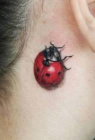 Orecchie femminili dopo radice Red Ladybug Tattoo Pattern