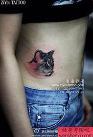 meitenes vēderā atdzisis kaķu tetovējums