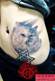 szépség hasa klasszikus vázlat fekete-fehér macska tetoválás minta