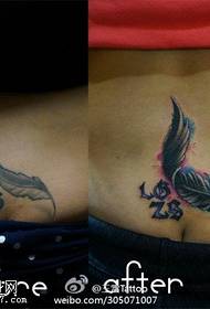 delicato modello di tatuaggio con piume morbide