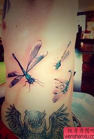 boys belly color small tattoo tattoo pattern