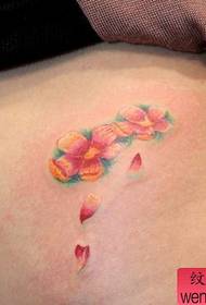 modello di tatuaggio di bella pancia della ragazza solo bel fiore di ciliegio