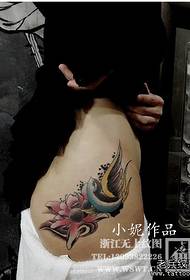 krása hýždě pěkně vypadající vlaštovka a lotus tetování vzor