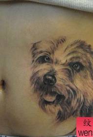 Modello di tatuaggio addominale: modello di tatuaggio del cucciolo addominale