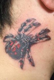 Patrón realista de tatuaxe de araña de cor masculina