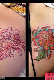 skaistums vēdera populārs izsmalcinātu krizantēmu tetovējums modelis