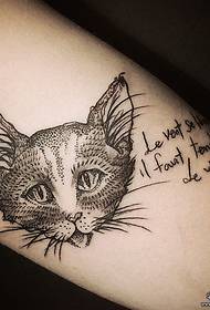 Modello di tatuaggio di grande linea gatto lettera