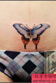 model de tatuaj fluture culoare burtică frumusețe