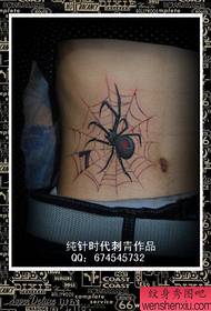 berniukų pilvas populiarus gražus voras tatuiruotė modelis