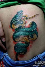 Girls belly a color snake tattoo pattern