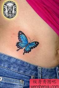 abdomen tatuaje mastro: beleco ventro koloro papilio tatuaje ŝablono