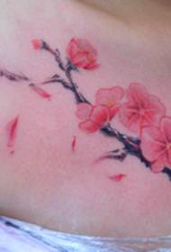 Nanchang Angel Branded Tattoo Show Bar Works : 복부 매화 문신 패턴