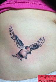 Matahum nga tiyan sa matahum nga sumbanan nga tattoo sa lunok