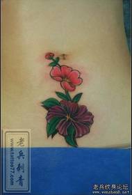 Abdominal tatoveringsmønster: skønhed mave farve blomster tatoveringsmønster