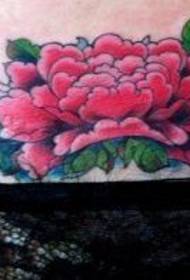 Modèle de tatouage abdominal: modèle de tatouage pivoine beauté ventre couleur