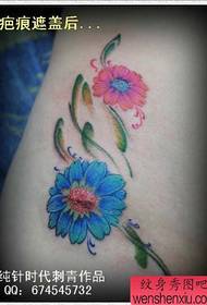 modello di tatuaggio Zouju piccolo di colore bello popolare popolare di bellezza