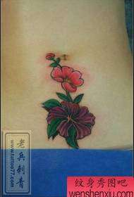 tattoo forma venter, ventri pulchritudinem color floris instar Threicae