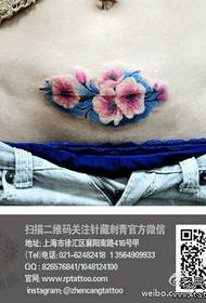 abdomen de frumusețe model de tatuaj de flori frumoase