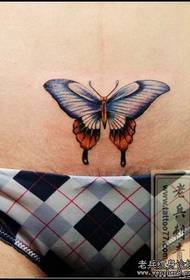 beleza barriga cor borboleta tatuagem padrão