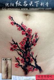 Coberta de cicatriu del ventre femení - bell model de tatuatge de pruna pop