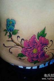 modello di tatuaggio di bella pancia colorata peonia di bellezza