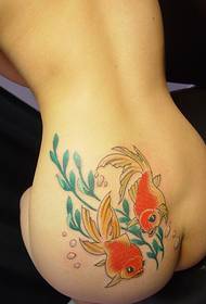 sexy girl hips ສີທີ່ສວຍງາມສີຂະຫນາດນ້ອຍຮູບແບບ goldfish