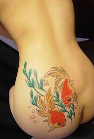 sexy girl hips beautiful color small goldfish pattern