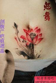 ομορφιά κοιλιά ουρανό καλύπτονται μελάνι σχέδιο τατουάζ λωτού