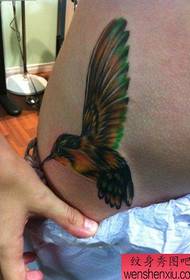 გოგონა მუცლის ფერი პატარა hummingbird tattoo ნიმუში