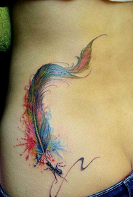 indah warna bulu yang indah Pola tato Daquan