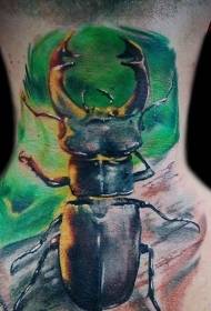 boyun doğal renk böcek dövme deseni