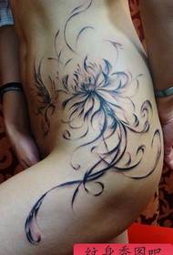 tattoo vasorum in coxae, coxae ratio Lotus vinea et stigmata