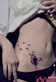 abdomen femenino sexy hermosa personalidad apuesto patrón de diente de león