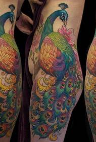 la figura del tatuaggio ha raccomandato le opere del tatuaggio di pavone di natiche di una donna