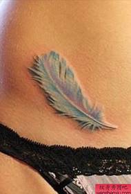 ຮູບແບບ tattoo ສີ feather ທ້ອງແບບຫລູຫລາ
