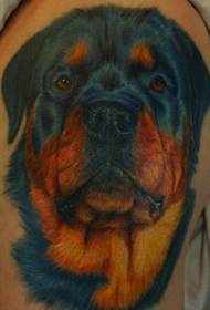 sorbalda kolore errealista Rottweiler Tatuaje eredua