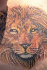 πίσω ρεαλιστική πρότυπο τατουάζ χρώμα λιοντάρι κεφάλι