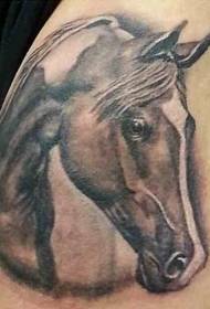 mannelijke schouder kleur paard hoofd tattoo patroon