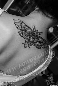 Taʻaloga tattoo moth