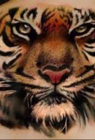 Lab Back Color Tiger Madaxa Tattoo Sawirka