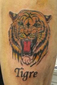 male shoulder color tiger head tattoo picture