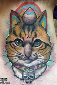 zanen cat cat a wuya