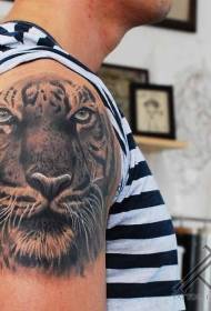spalla realista di culore Big Tiger testa stampa di tatuaggio