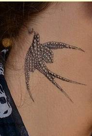 bella immagine del modello del tatuaggio del rondine del collo