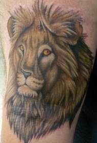 shoulder color realistic lion head tattoo pattern