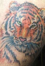 Bein Farbe realistische Tiger Kopf Tattoo Bild